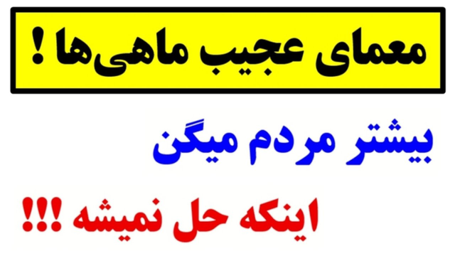 این راه حل عجیب شما را شگفت‌زده می‌کند🤯