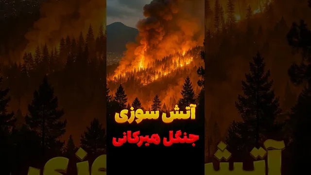 «پارک ژوراسیک» ایران در آتش؛ آیا جنگل‌های هیرکانی نابود می‌شوند؟