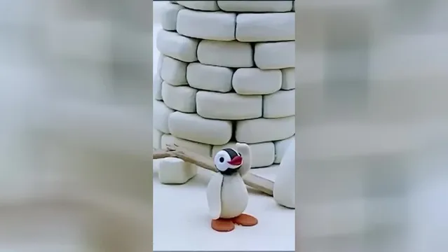 ت غذیه حیوانات! 🐧 پینگو