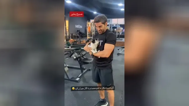 صبح بخیر! روزی عالی برای شما آرزو می‌کنیم