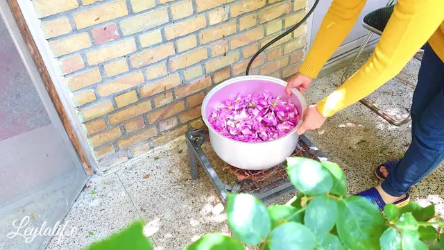چطور در خانه گلاب طبیعی و خالص درست کنیم؟