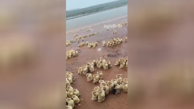 صبحی پربرکت