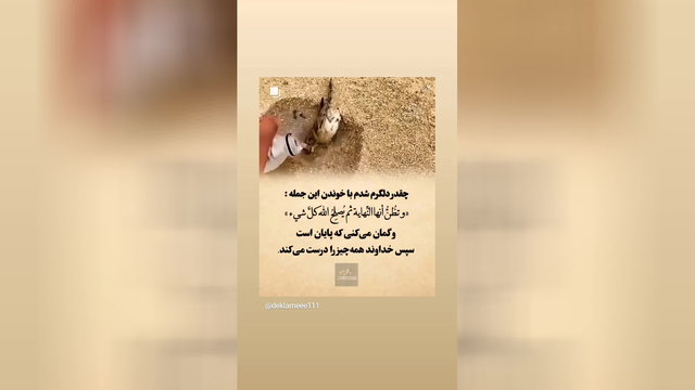 دلگرم کننده/ کلیپ قرآنی