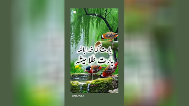 یار می خوای فقط خد ا