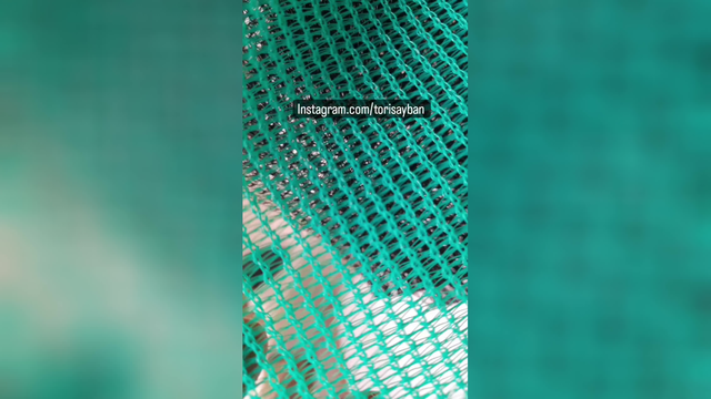 شیلد گلخانه ای