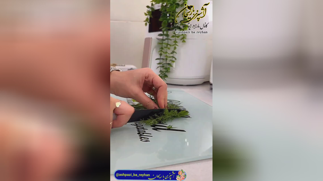 سالاد