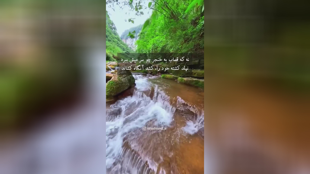 شعر مولانا