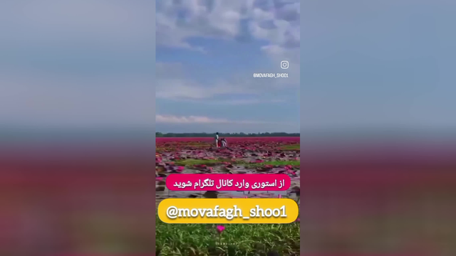 فرمون بده به خدا