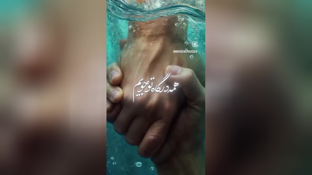 همه توحیدتوگویم