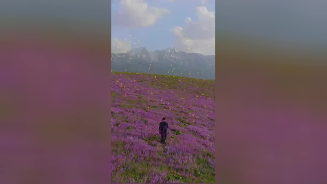 طبیعت