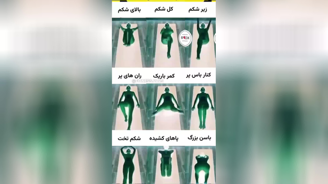 ورزش