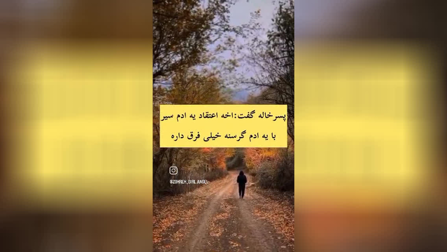 قضاوت