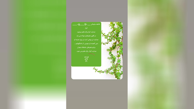 موزیک
