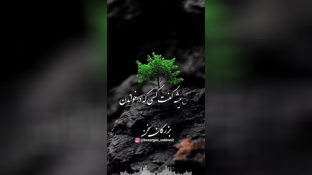 خواص سوره