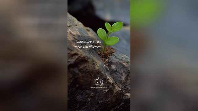 راه نجات - سوره طلاق آیات 2-3 (قرآن مهر)