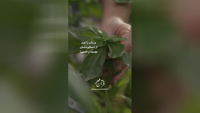 از خدا بخواهید - سو ره نساء آیه 32 (قرآن مهر)