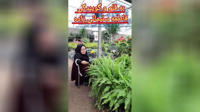 فاطمه سلیمانی آهو دکلمه خوانی : پدر