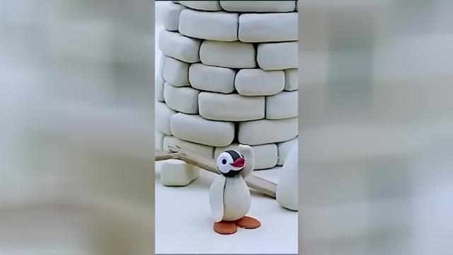 زمان تغذیه حیوانات! 🐧 #پینگو
