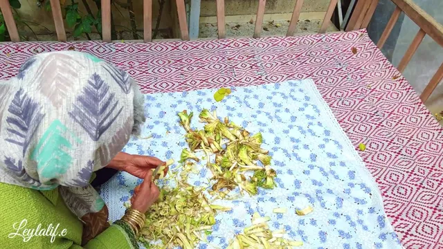 آموزش پاک‌کردن و نگهداری کنگر در فریزر