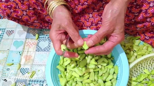 چگونه باقلا را برای مدت طولانی فریز کنیم؟ روش‌های صحیح فریز کردن باقلا