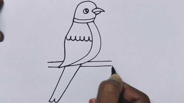 How to Draw Parrot with 33 Number | Parrot for Beginners