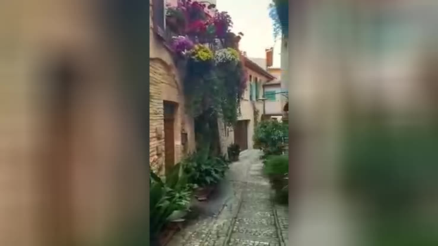 طبیعت