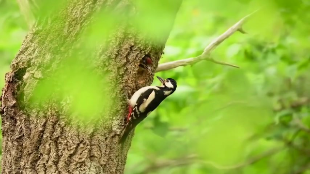 آموزشگاه مجازی دانش عکاسی - عکاسی در طبیعت