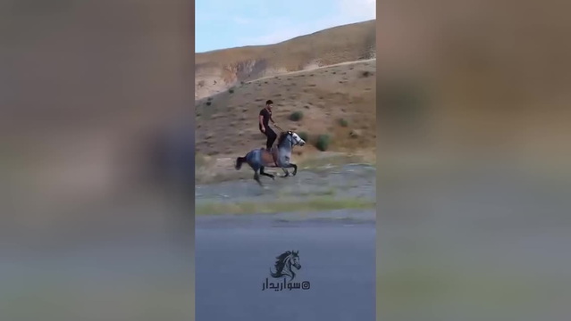 حالا هی برو با موتور تک چرخ بزن