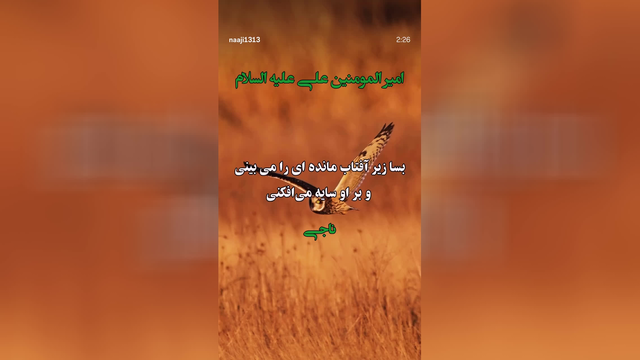 کلیپ خیلی خوشگل از سخن امام‌ علی ع