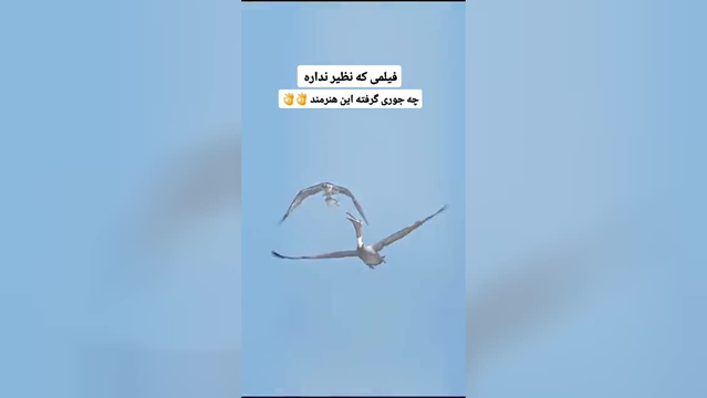فیلمی از طبیعت که نظیر نداره 😍😍😍😍😍