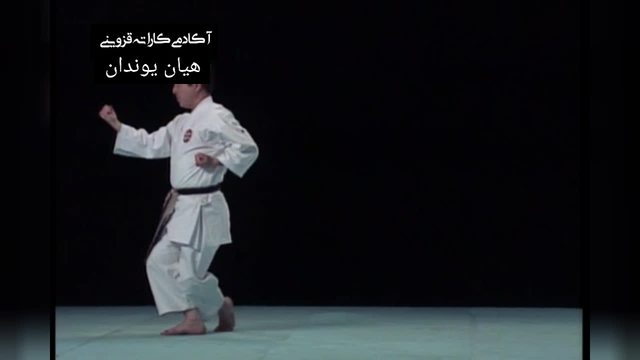 کاتای هیان یوندان از پهلو