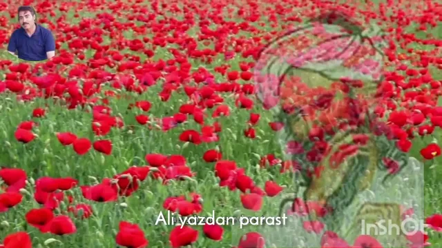 مناجاتنامه