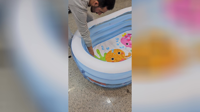 وان بیضی اینتکس