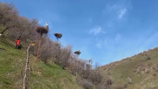 دره لک لک ها