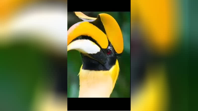 سخنان بزرگان و پند آموز