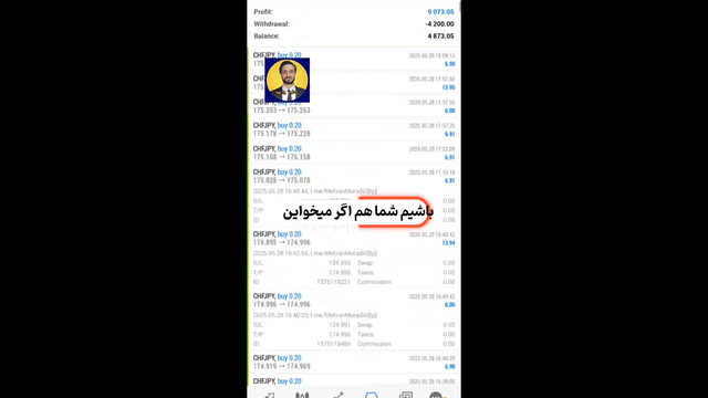 بهترین ربات معامله گر فارکس