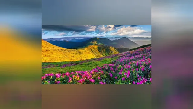 سوره مبارکه حمد با تصویر