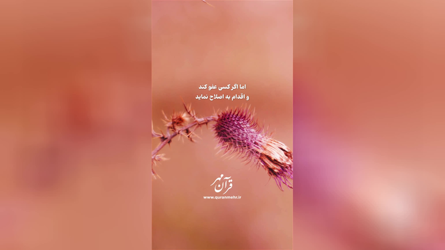 گذشت و بخشش - سوره شوری آیه 40 (قرآن مهر)