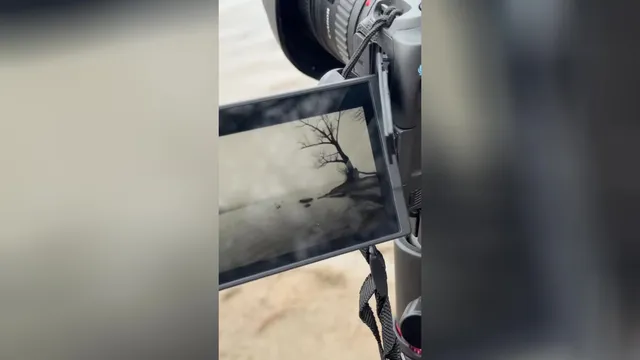 سپاس از حمایت‌های شما ❤️