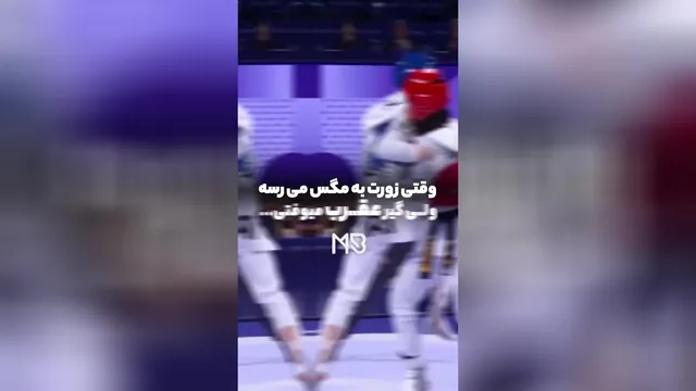 زمانی که سعودی‌ها سعی می‌کنند پرواز را بگیرند، اما توسط یک عقرب ایرانی گرفتار می‌شوند
