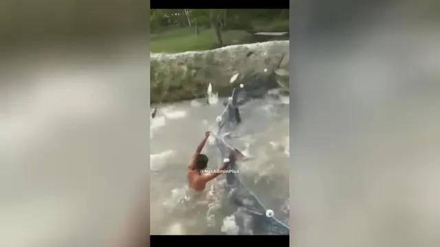 درک بهتر حمله DDoS 😂🐟🐠