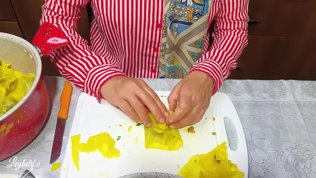 آموزش تهیه دلمه کلم خوشمزه و متفاوت از صفر تا صد
