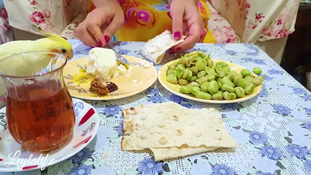 آموزش تهیه یک غذای ساده و خوشمزه برای پیک نیک