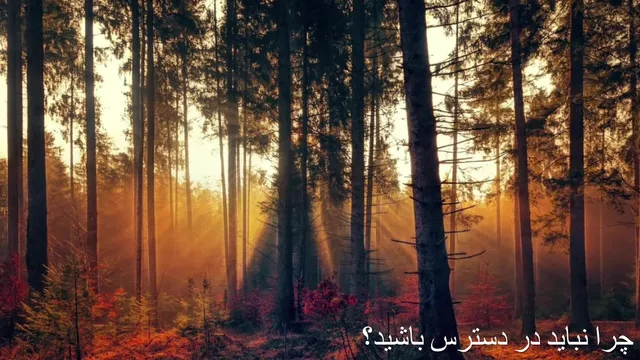 چرا همیشه در دسترس بودن باعث کاهش ارزش می‌شود؟