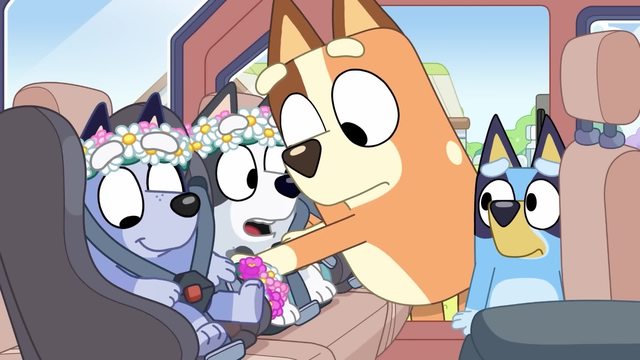 Best of Chilli and Bandit! 🧡 💙 | 30 MINUTES New Bluey Compilation 🌟 | Bluey