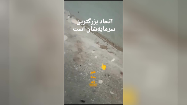 تک خور نباشیم