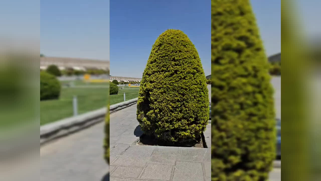 اردوی میدان نقش جهان