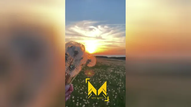 آهنگ جدید امیر حسین تاجیک گیم آف لایف - میفا موزیک