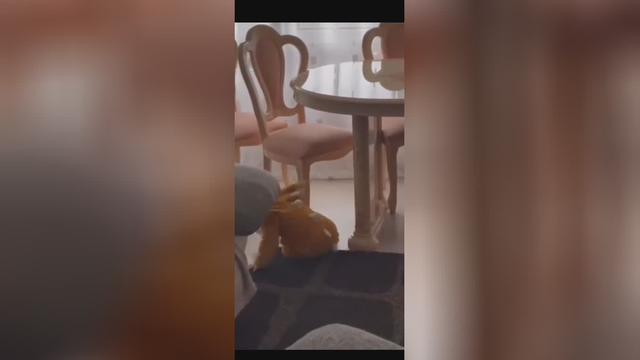 افراد موفق