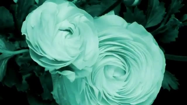 سخنان پند آموز